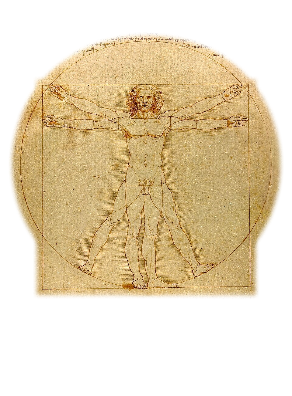 Vitruvian Man