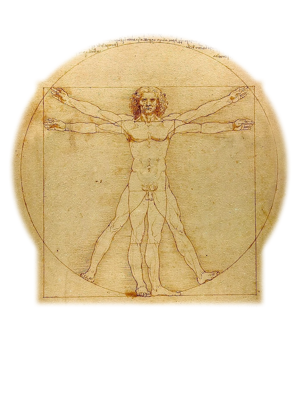 Vitruvian Man